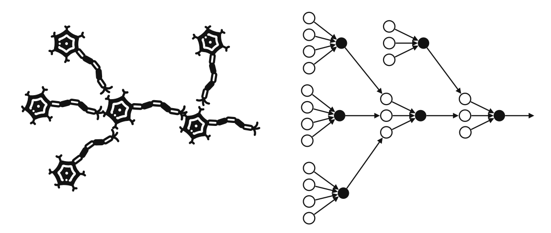 Neural Net Bio