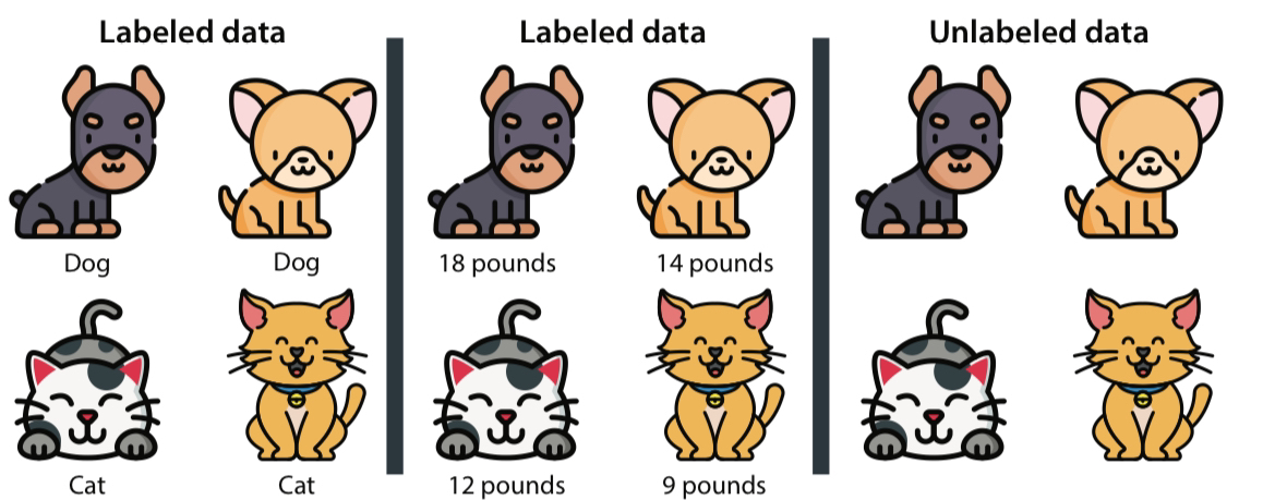 Labeled & Unlabeled Data